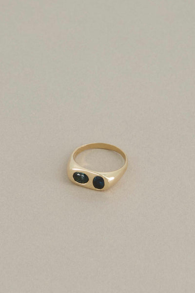 Arlo Ring